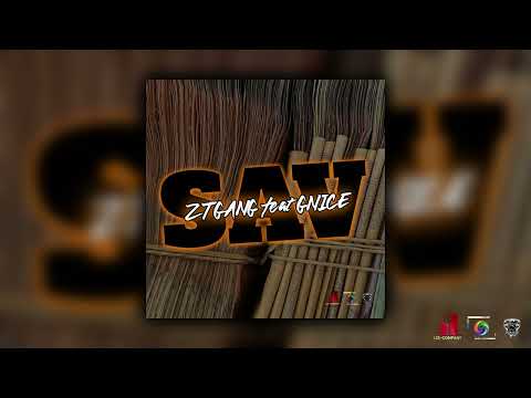 ZT GANG -x GNICE - SAV [AUDIO]