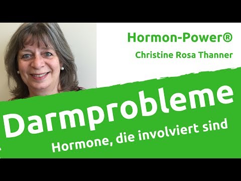 Prostata-Hyperplasie in dem Hund, was es ist BPH verursacht Symptome