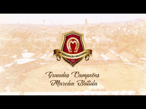 GREAT NATIONAL CHAMPIONS OF MARCHING