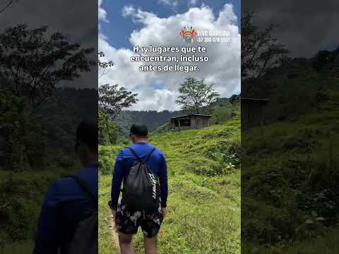 Caminar hacia lo ancestral✨🌄 en Dabeiba, Antioquia.