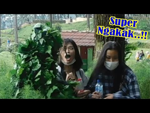bushman-prank-ini-lucu-banget-prank-kocak-dan-konyol-banget