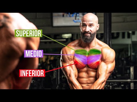 Chest workout with the best exercises