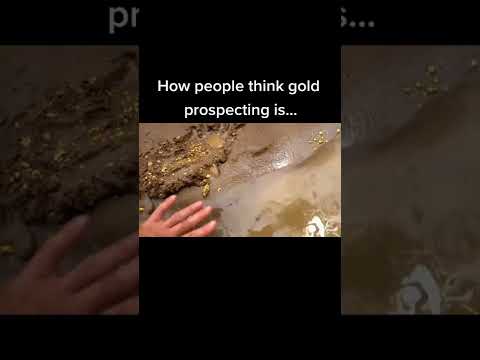 What you think "fake" vs how it is... #goldprospecting #goldpanning #goldnuggets #goldrush #viral