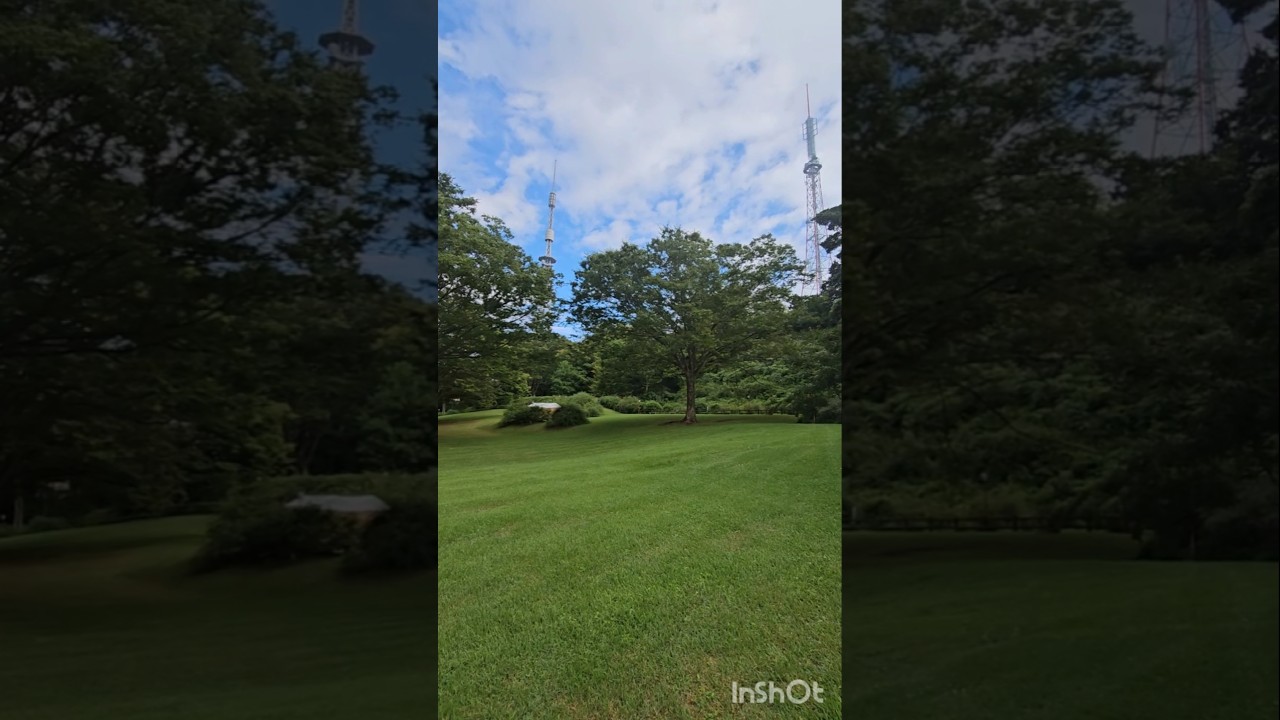 YouTube Short thumbnail