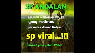 Download lagu suara panggil andalan || sp raja rimba 2 mp3 Download lagu suara panggil andalan || sp raja rimba 2 mp3