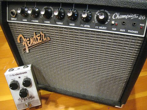 Fender Champion 20 Blackface Tones + Tips For Beginners : Twin Reverb/Deluxe Reverb/Princeton Reverb