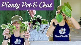Catching Up On Plant Chores: Propagations Pot Up and Chat