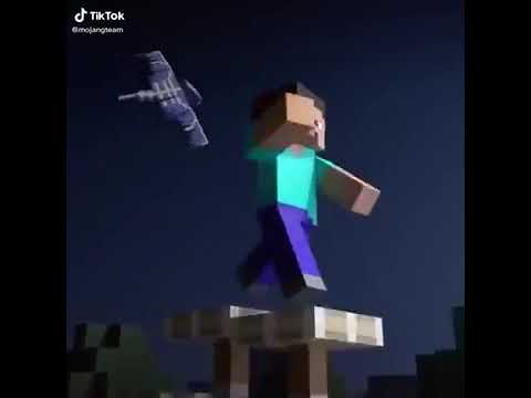 Ultimate Punjabi Minecraft Shorts