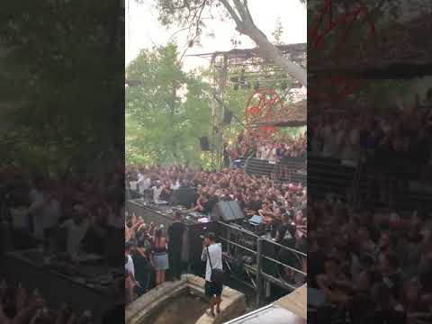 Buongiorno Clorophilla by Joseph Capriati 24/08/19
