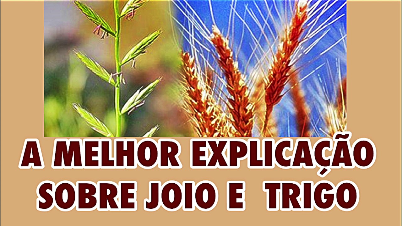 A MELHOR EXPLICAÇÃO SOBRE O TRIGO E O JOIO! | PREGAÇÃO.