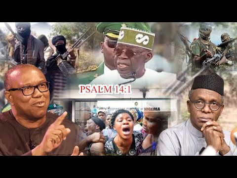 Everywhere don scatter!!! Bandits kìll 6 Guards & 20 others, Peter Obi unveils new way out, El-Rufai