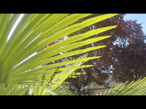 7. vazmena nedjelja, 2020.