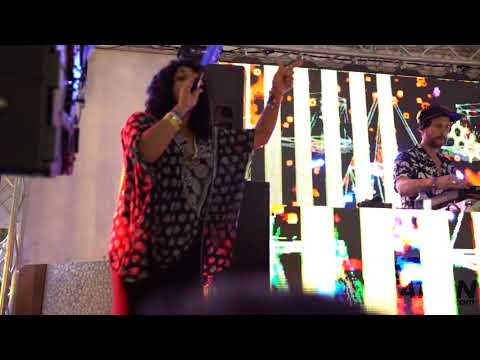 Salted Music Miami 2018