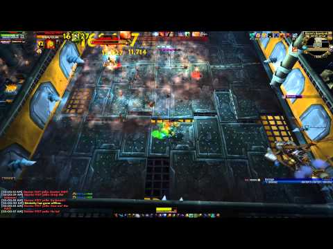 Brawler's Guild Rank 9 Doctor FIST