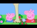 Peppa Pig And George Uncover Treasure With Grandpa Pig Adventures With Peppa Pig