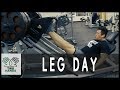 Leg training(다리운동)하체2분할