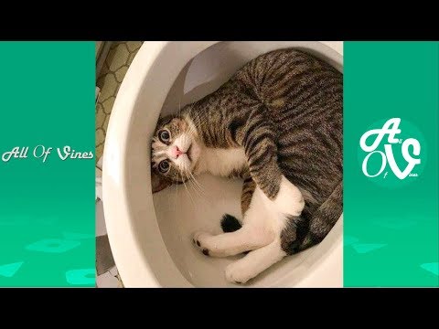 Funny E-Cards, Humor Cards, Funny e-card, Hilarious ECards, Humor eCards, Crazy Animals Funny E-Cards, Humor Cards, Funny e-card, Hilarious ECards, Humor eCards, Crazy Animals