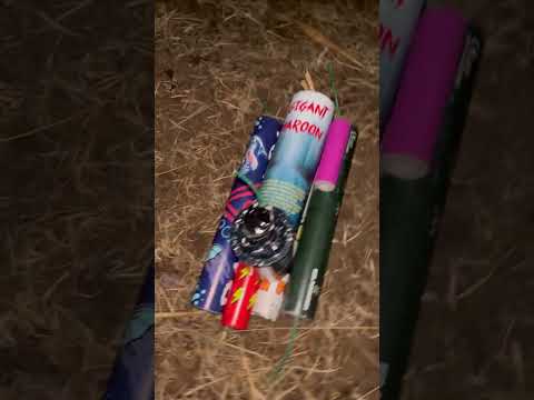 GIGANT MAROON XXL BÖLLER