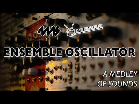 4ms - Ensemble Oscillator WHITE [Eurorack Modular] image 2