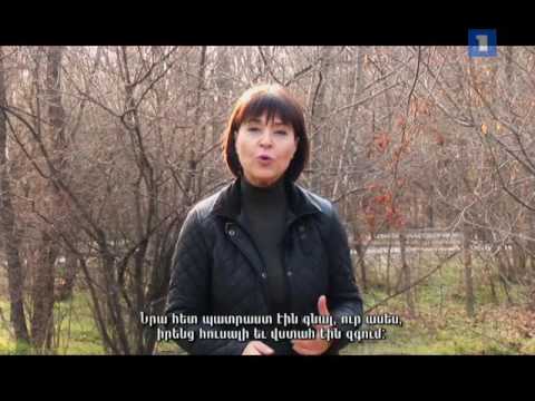 Նվիրյալները. Ջիվան Աբրահամյան