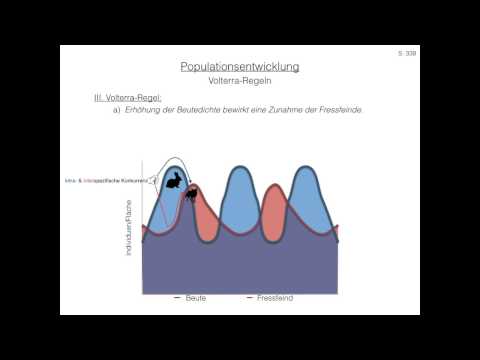 Ökologie   Biotische Umweltfaktoren: Beziehungen zwischen Lebewesen