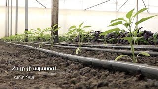 Գայ գյուղի ռեհանի ջերմոցը