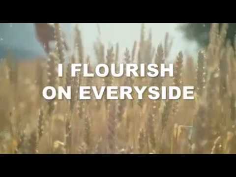 Rozey - iFlourish Prod. By Spiritual Beatz