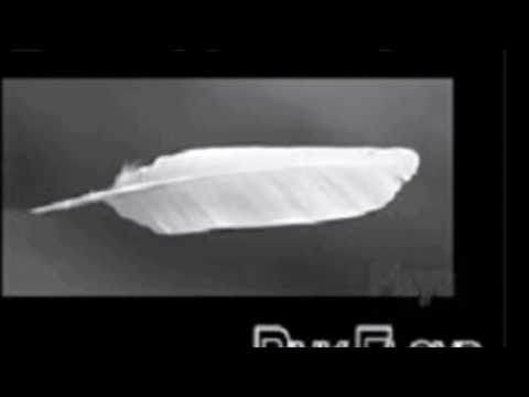 Bermuda Acoustic Trio - Wish you were here (Lyrics)