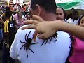 Spider Guy