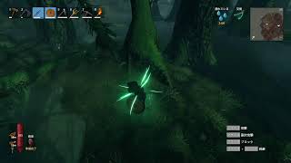 【Valheim】何かしてる配信【PC】