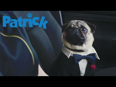 Patrick (2019) (International Trailer)