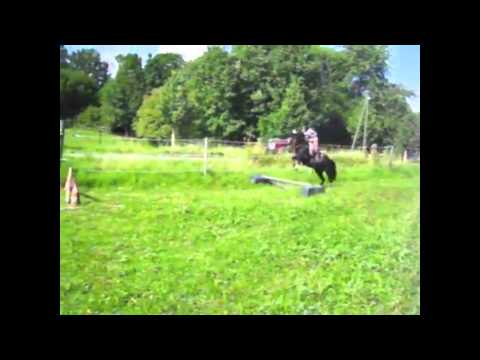 Es tut mir so Leid mein Herzenspony, Goodbye Quicksilver.