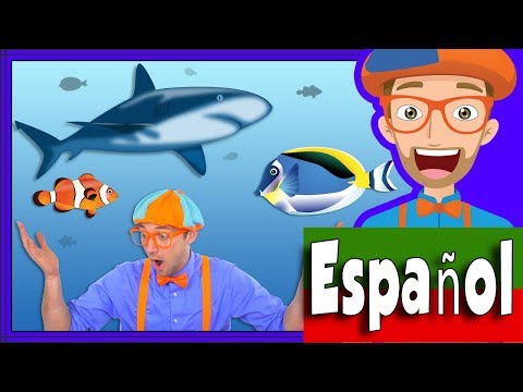 En el Acuario con Blippi Español | Peces para Niños y Infantil