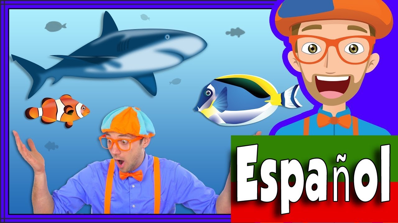 En el Acuario con Blippi Español | Peces para Niños y Infantil