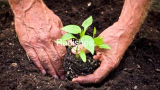 David West: Finding peace in the good earth