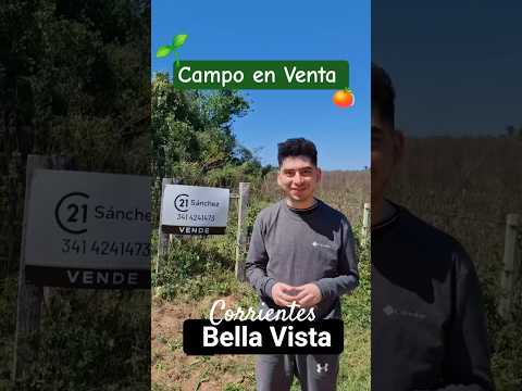 Campo en Venta Bella Vista Corrientes. #inmuebles #naturaleza #venta #inversion