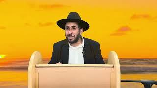 הרב זל״א שמירה על הקדושה  הטהרה והצניעות בימי הקיץ החמים ☀️ שיעור חובה על כל 