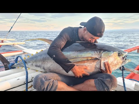 EP817-P2 - Day 5 of Tuna Series