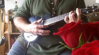 Quackhammer: Sea Diver (Mott the Hoople ukulele cover)