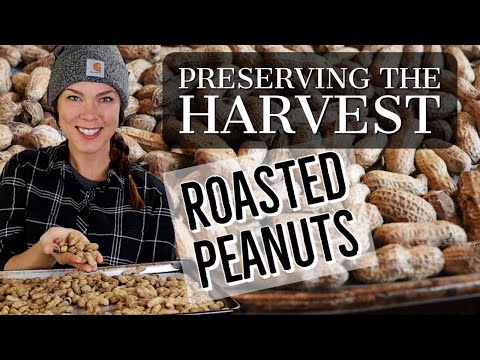 How to Brine and Roast Peanuts at Home