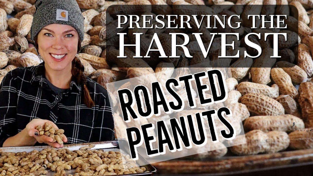 How to Brine and Roast Peanuts at Home