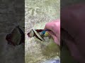 Slime Wax Layer ASMR