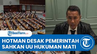 Hotman Paris Desak DPR dan Pemerintah Sahkan UU Hukuman Mati bagi Pelaku Kejahatan Seksual