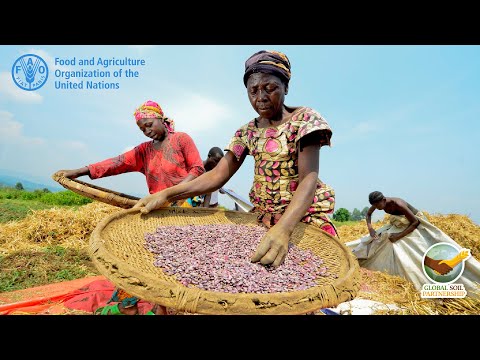 Webinar on soils and GEF-8 (English session)