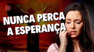 Louvores e Adoração 2023 - Os Hinos Que Renovaram Suas Forças - Melhores Músicas Gospel 2023