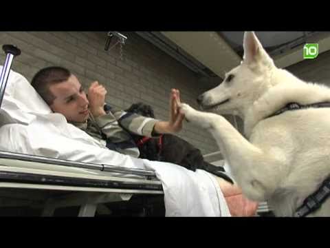 brabant10 nieuws - donderdag 10 februari 2011