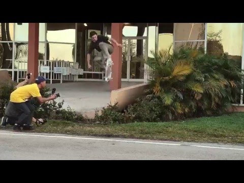 Reproducir vídeo