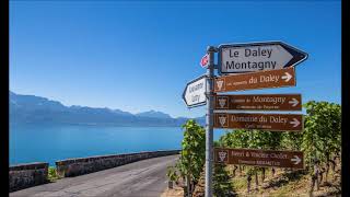 The Vineyards of Lavaux in Lutry