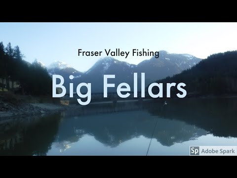 Big Fellars