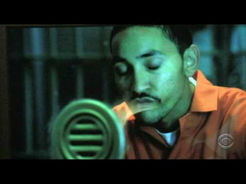 CSI N.Y. Consequences Terry Wilkerson